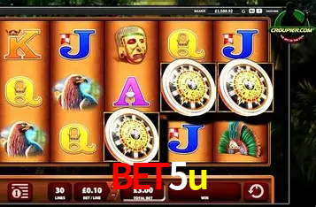 A Experiência Imersiva dos Cassinos Ao Vivo no bet5u